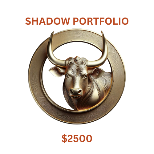 Shadow Portfolio Build